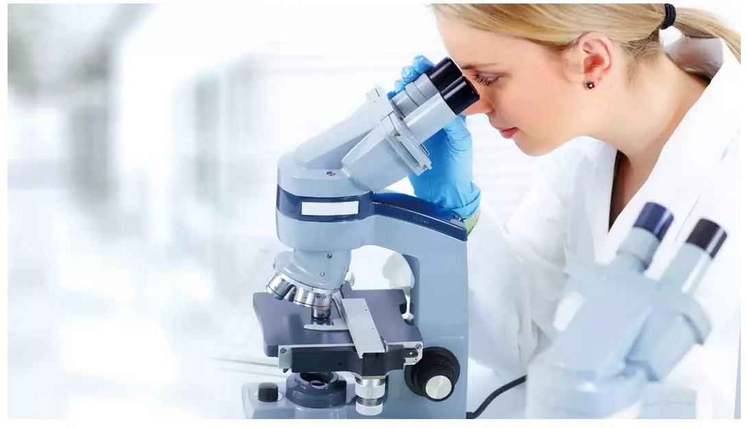 1573457153861564.png 屏幕快照 2019-11-11 下午3.24.35.png