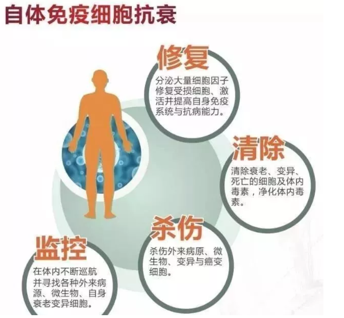 1575527605467375.png 屏幕快照 2019-12-05 下午2.32.41.png